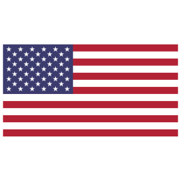 US Flag Icon