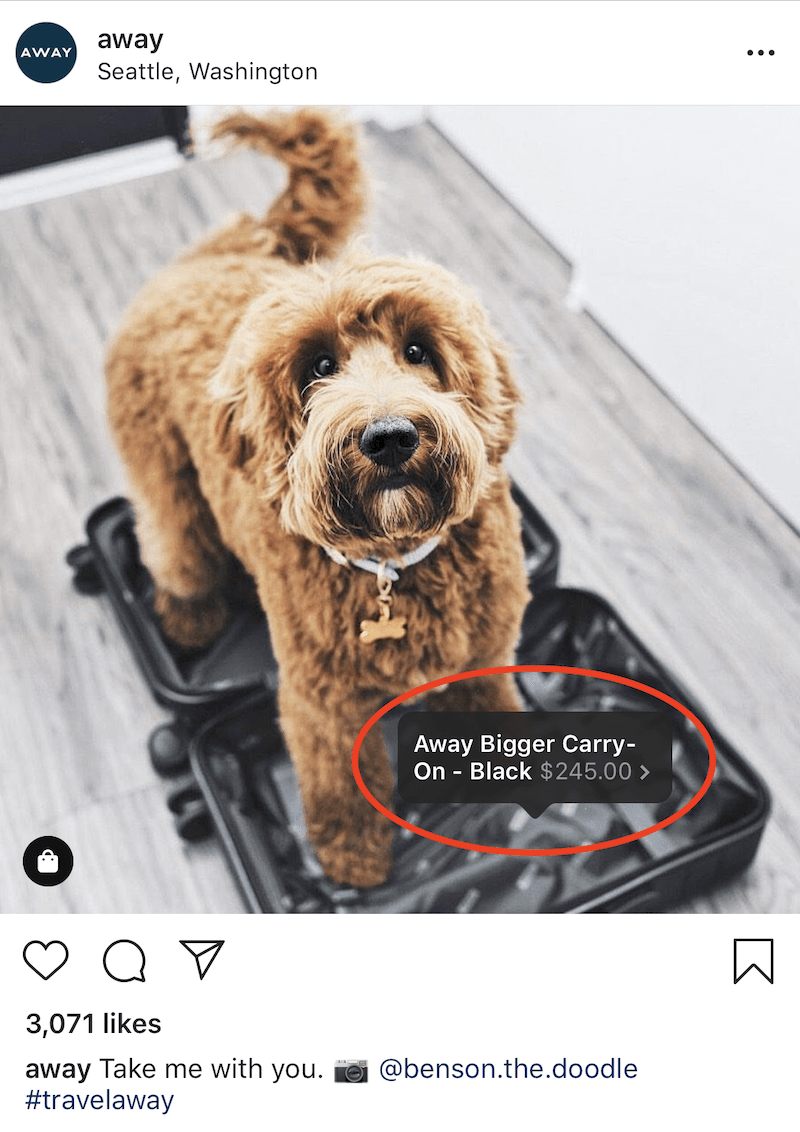 instagram shoppale post instagram shoppale post
