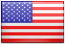 United States Icon