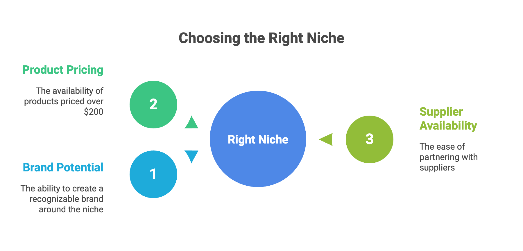 Top High-Ticket Dropshipping Niches for Beginners - Infographic