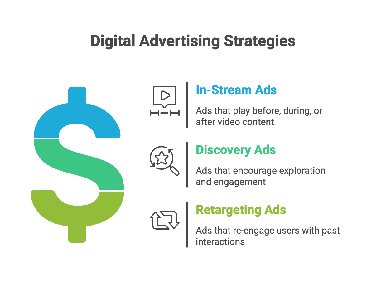 Use Paid YouTube Ads to Amplify - High-Ticket Dropshipping - Infographic