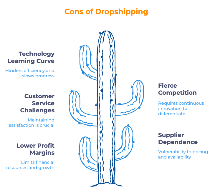 Cons of Dropshipping - Infographic